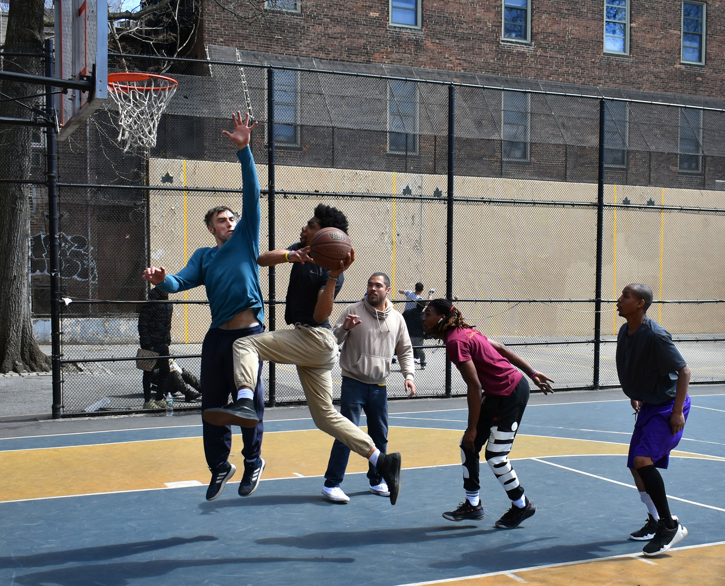 Cura dei Capelli Danneggiati dopo la Decolorazione, image size:2500x2022