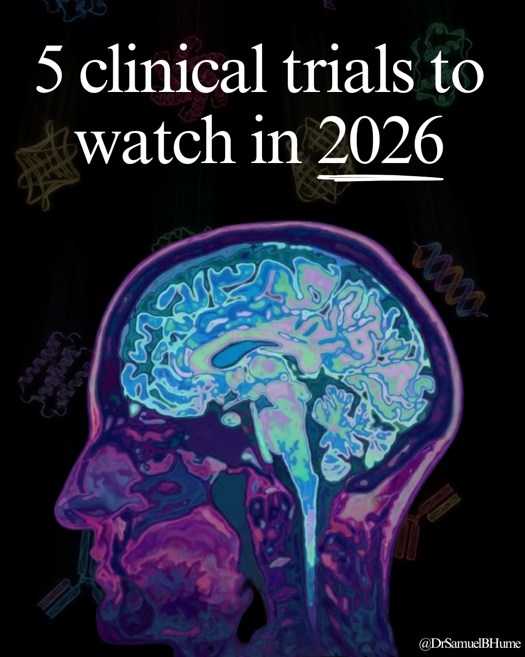 dihexa human clinical trials 2026 DIHEXA