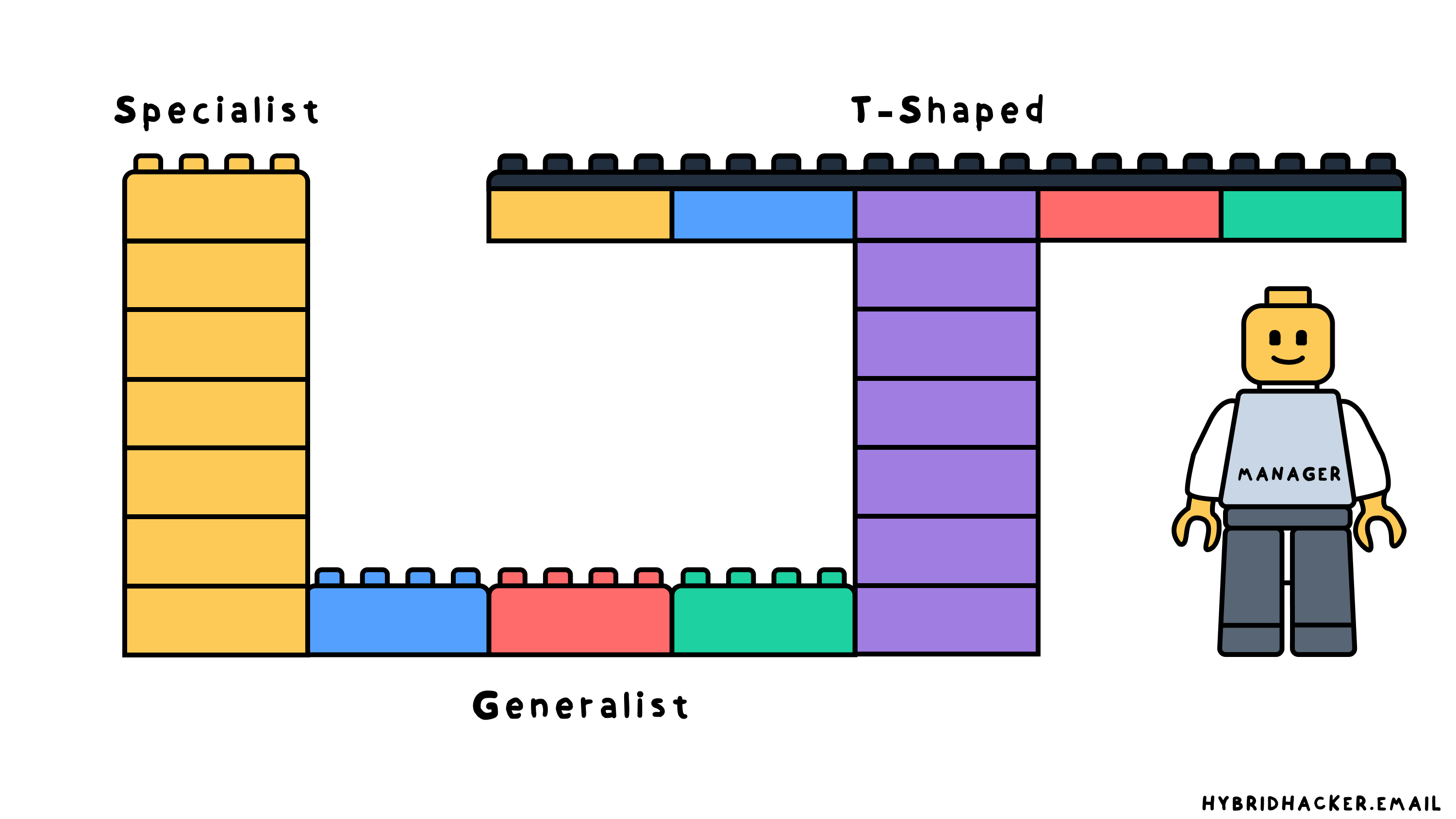 T-shaped developer — depth plus breadth