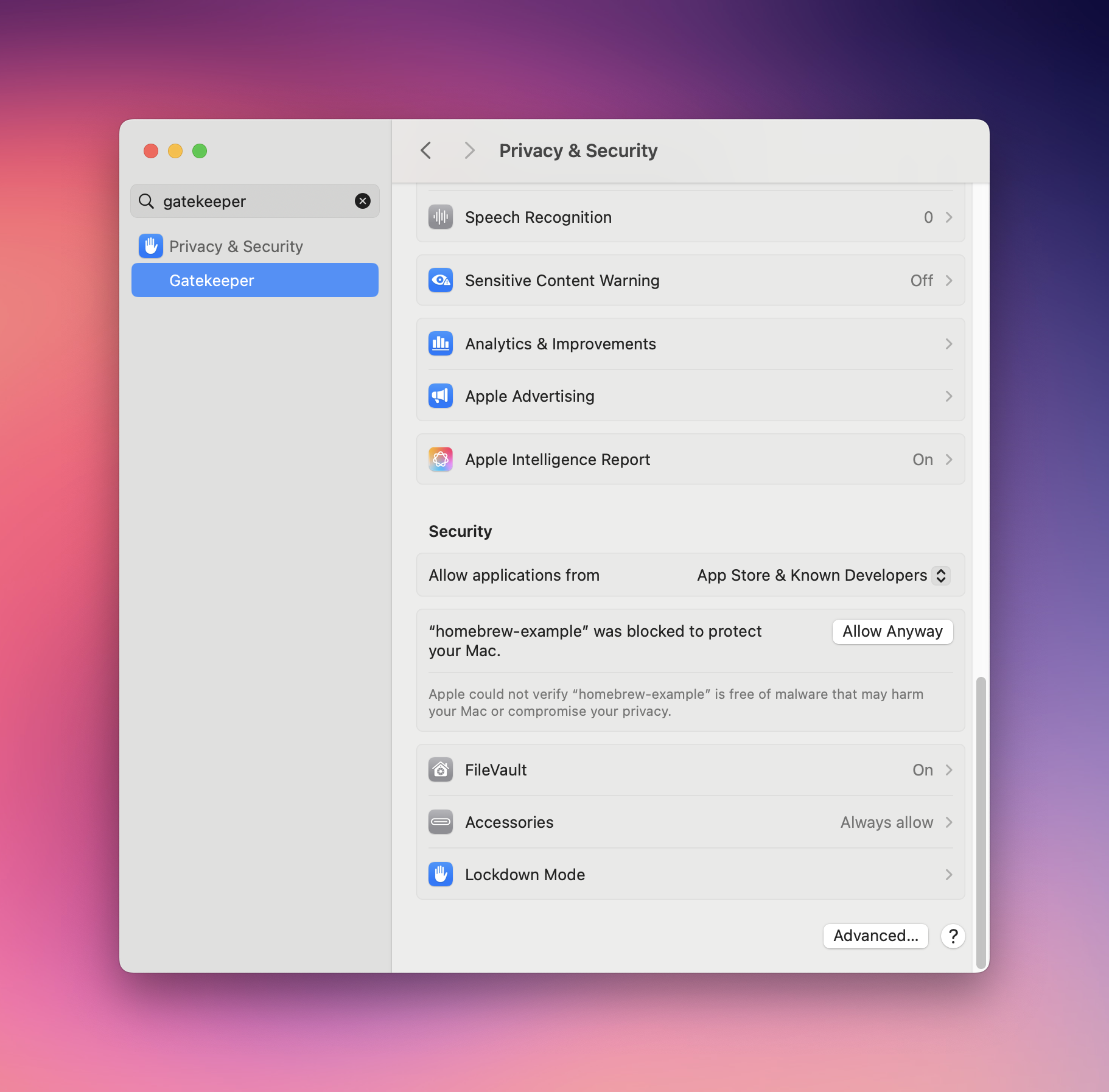 The “Gatekeeper” view in System Settings showing the “Allow Anyway” button for the blocked binary