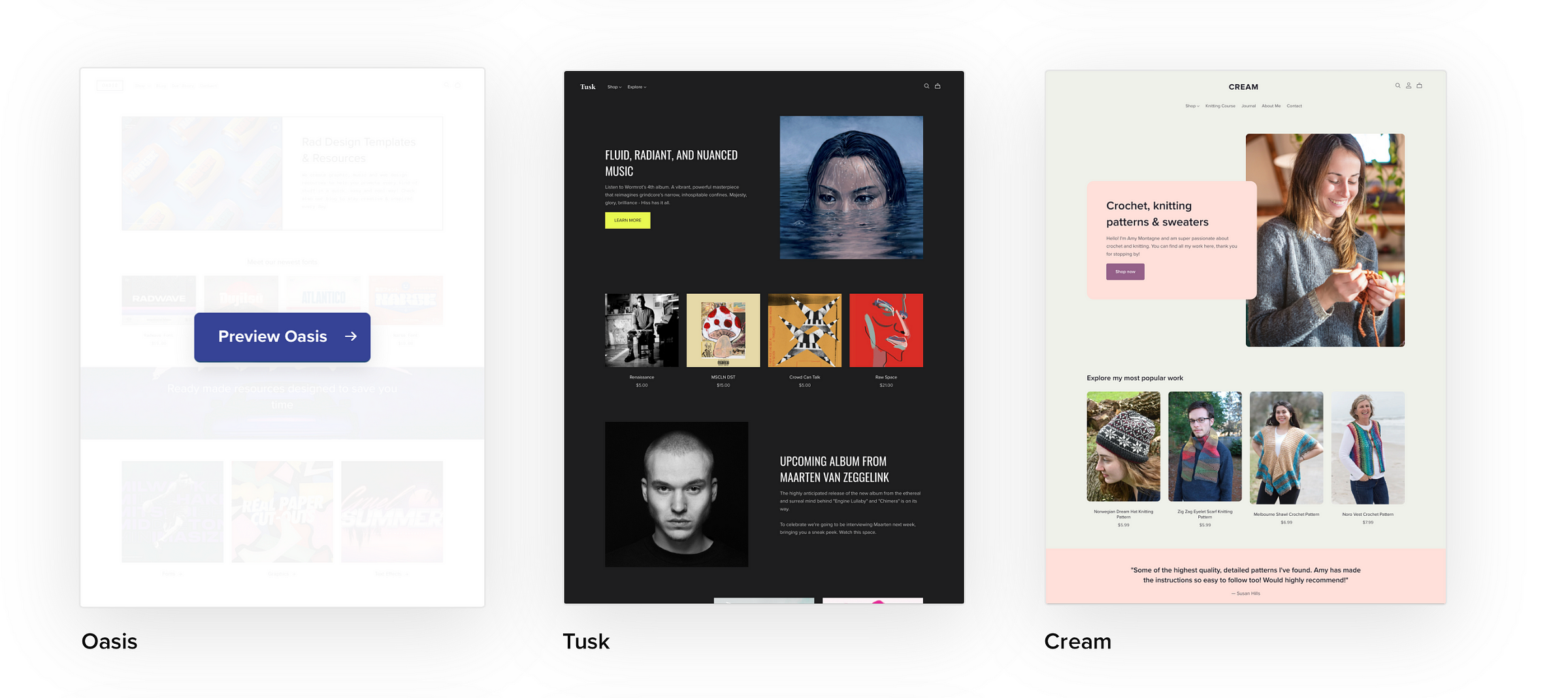 screenshot from payhips website