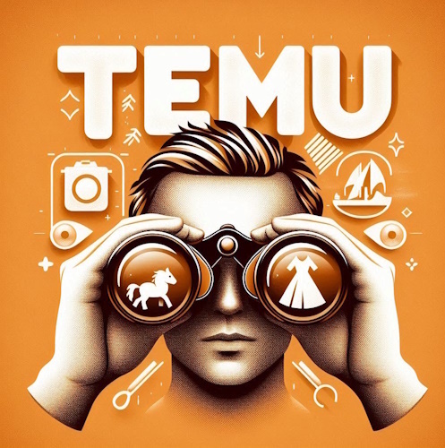 techbuzzchina.substack.com - Tech Buzz China - Temu Watch #12: Update on Markets, Advertising & Logistics Strategies