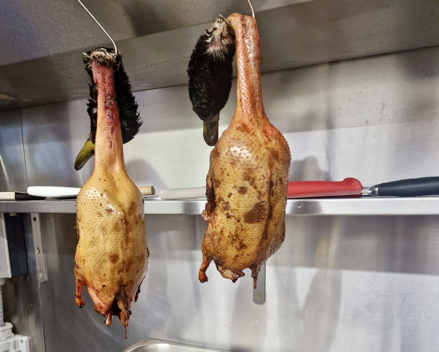 Peking Duck history