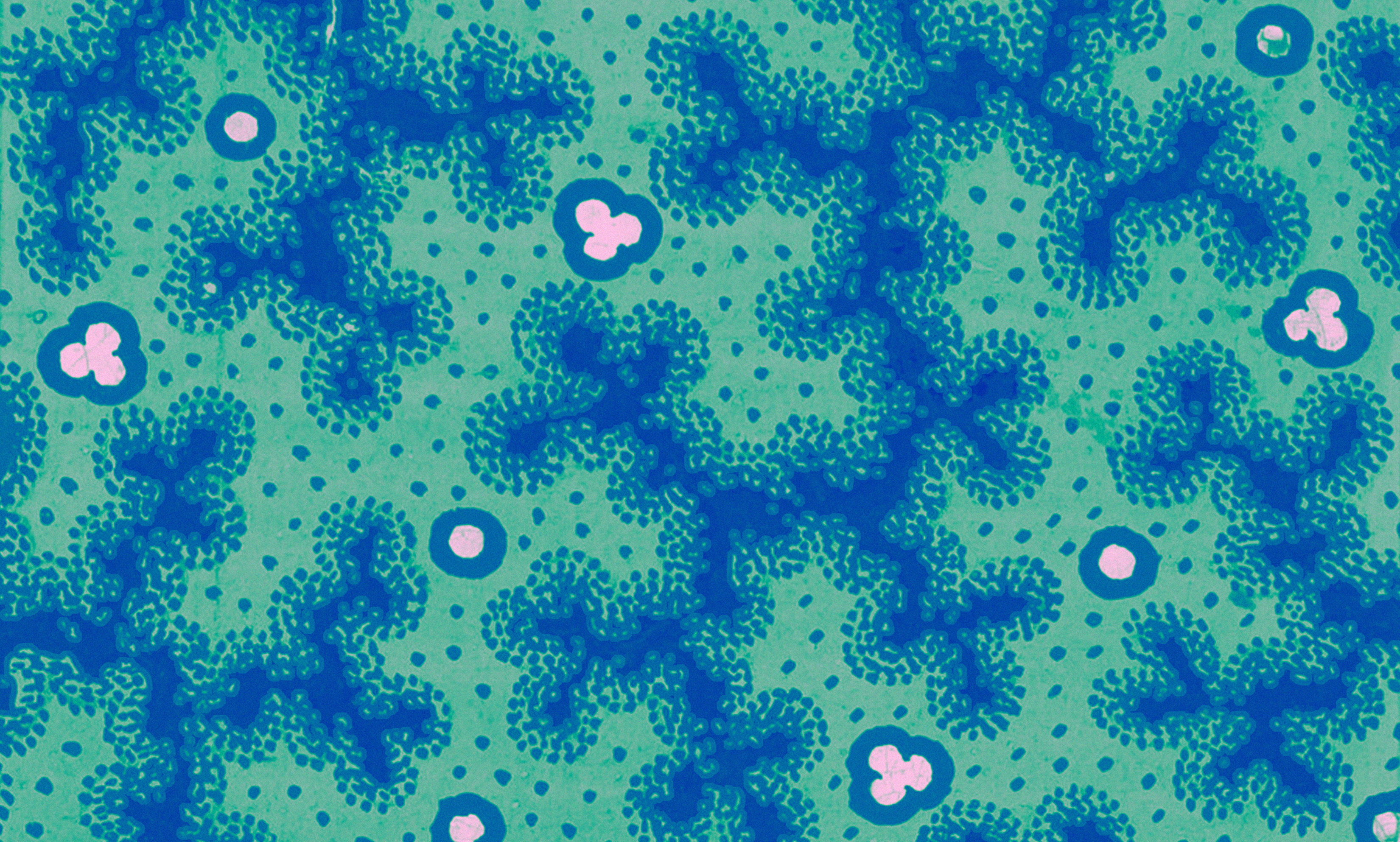 Microbubbles