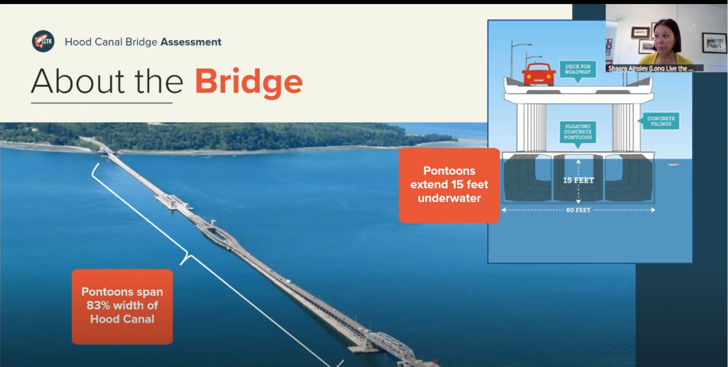 The Twenty Billion Dollar Bridge to a Red Horizon