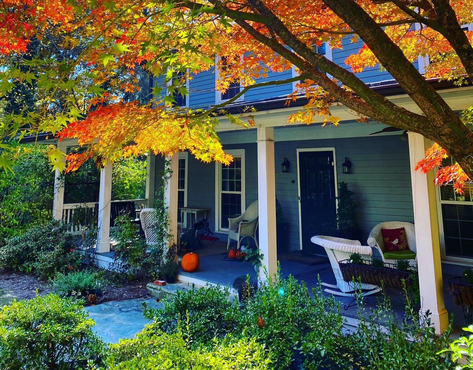 This Old House