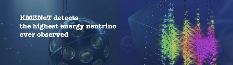 Comment image, no alternative text available Comment image, no alternative text available