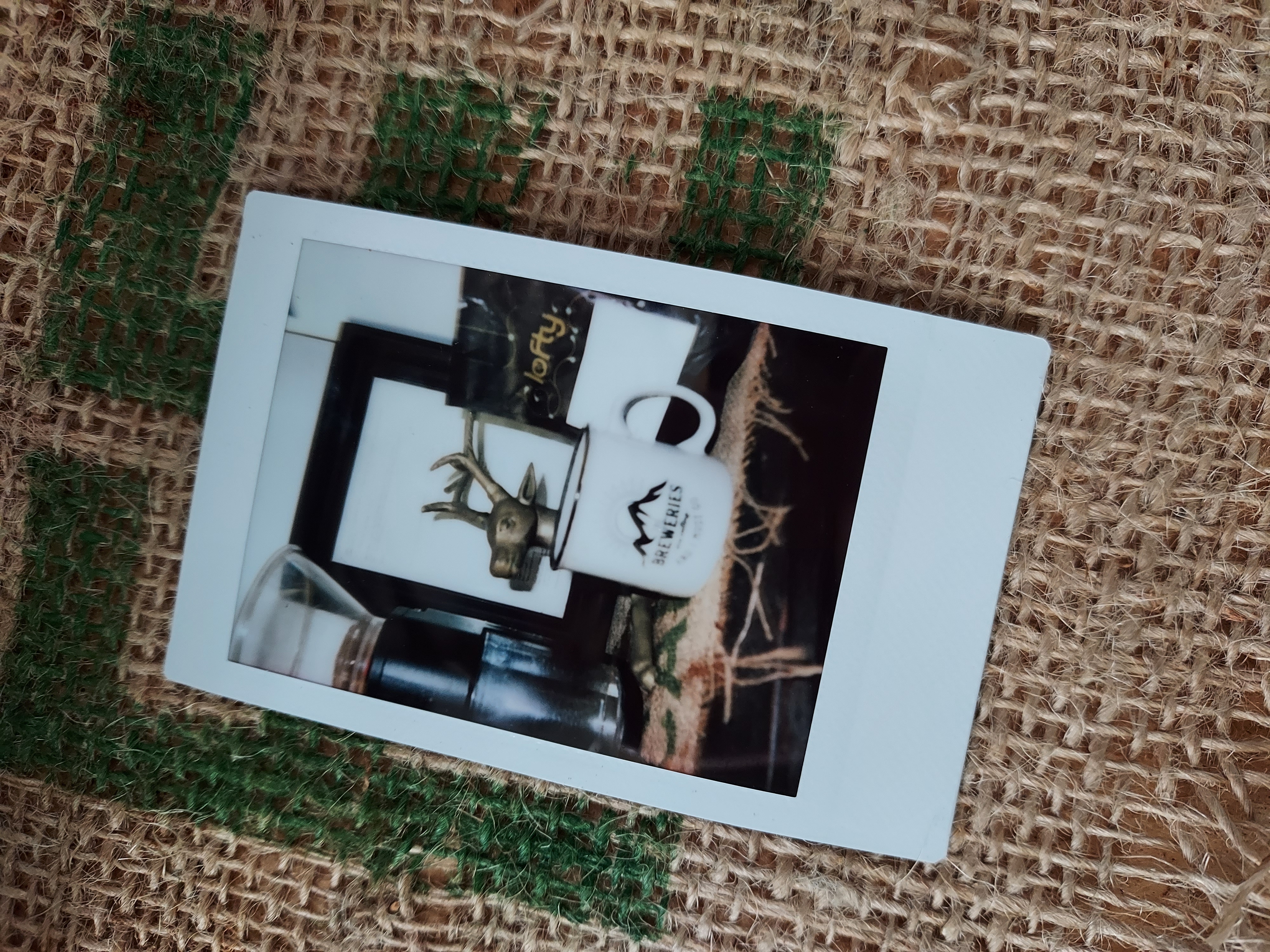 365 Snaps: January