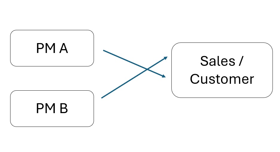 When Multiple Product Managers Own the Same Problem