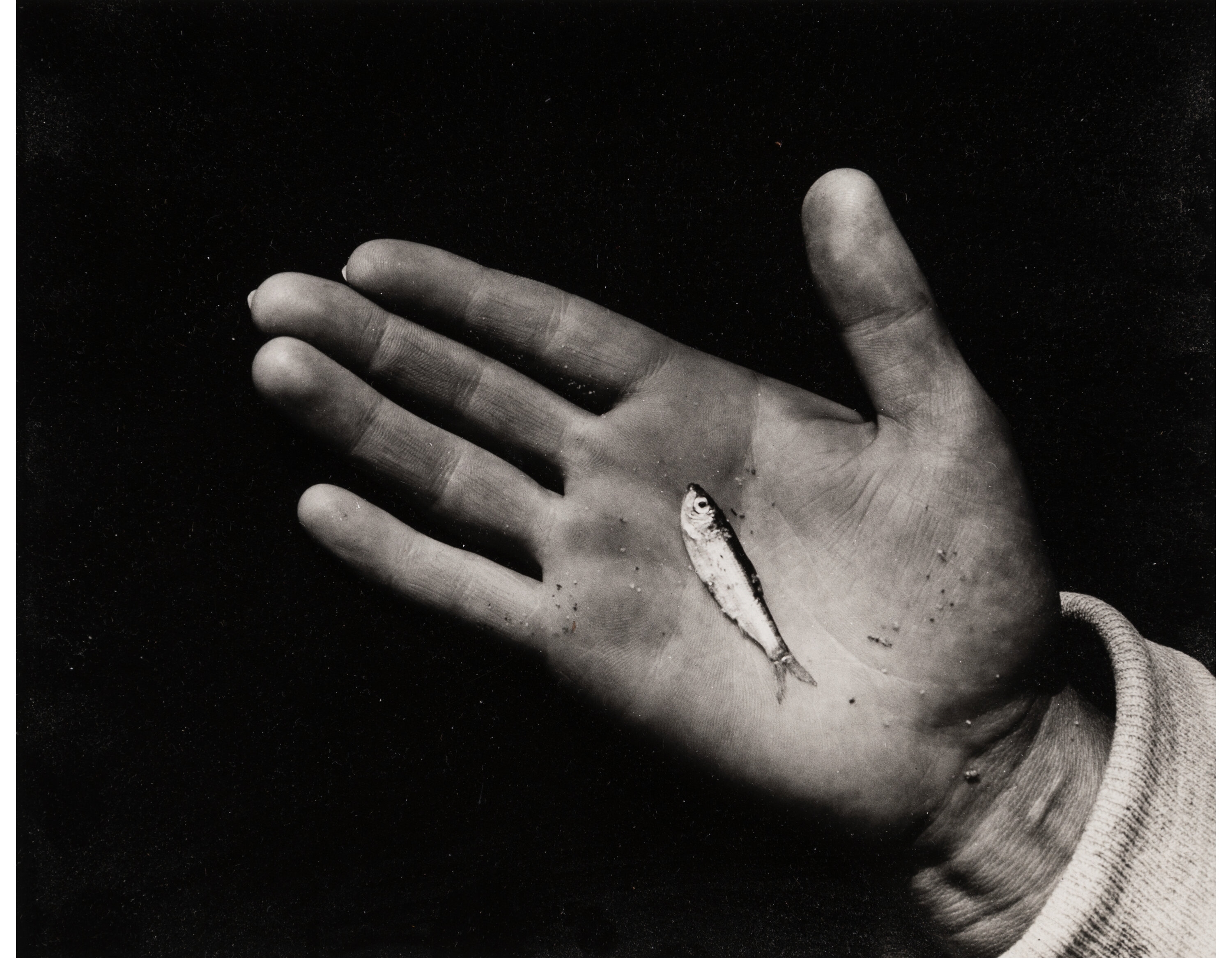 Aaron Siskind, Fish in Hand
