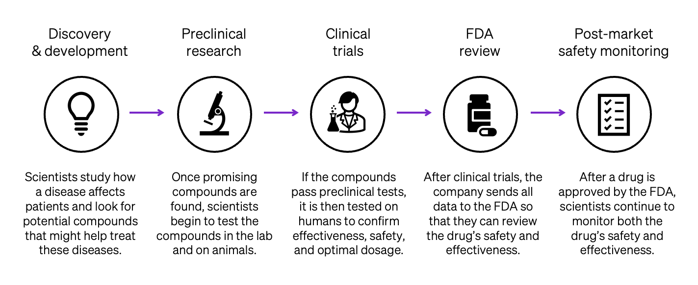 Deep Dive: A Primer on Drug Development