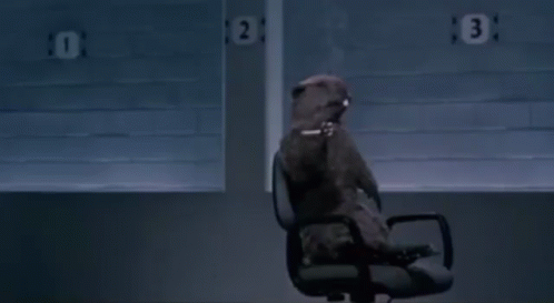 9255c00f-cb1c-48f3-b368-120eb7cc2a29_498x273.gif