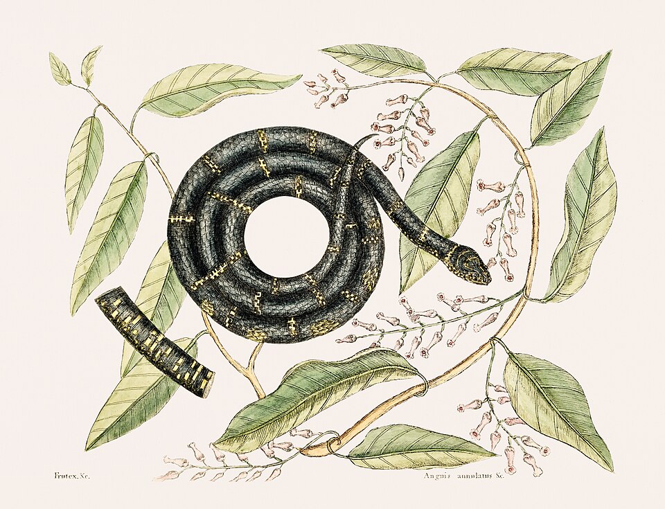 What’s new in biology: May 2026