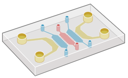 About - BioCompute Inc