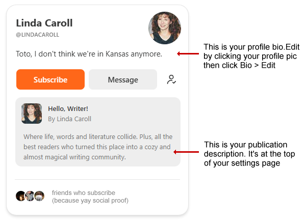 My Substack Bio Sucked And Yours Might, Too. So Let's Fix It, Okay?