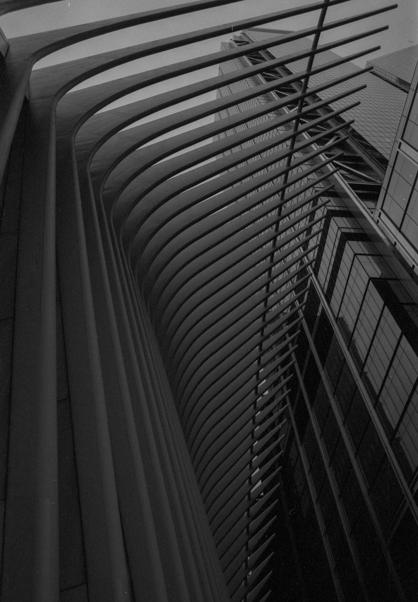 Concrete Jungle Wet Dream Tomato Pt. 2