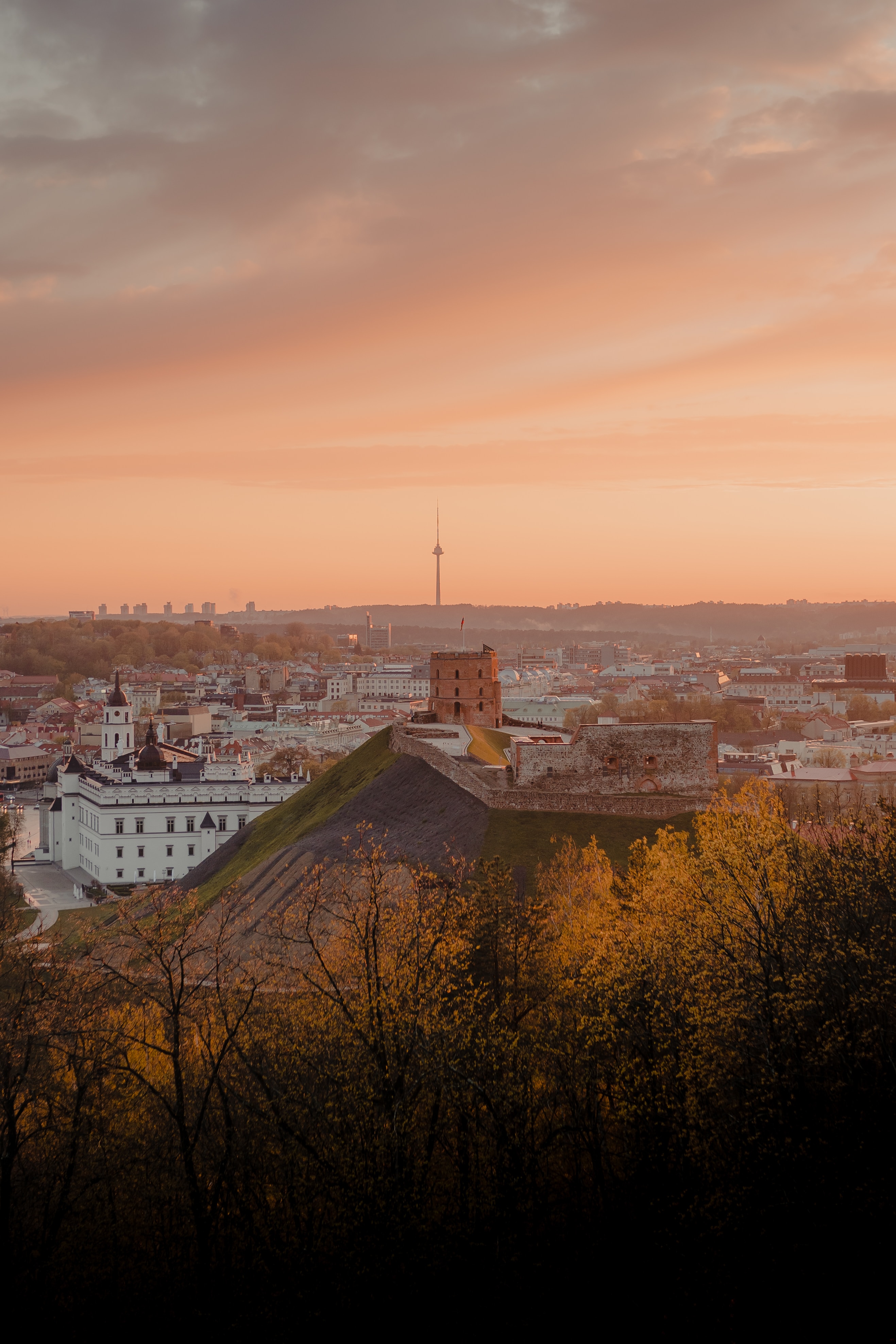 Opus 21: Investing Adventures in Lithuania - by Derek Urben