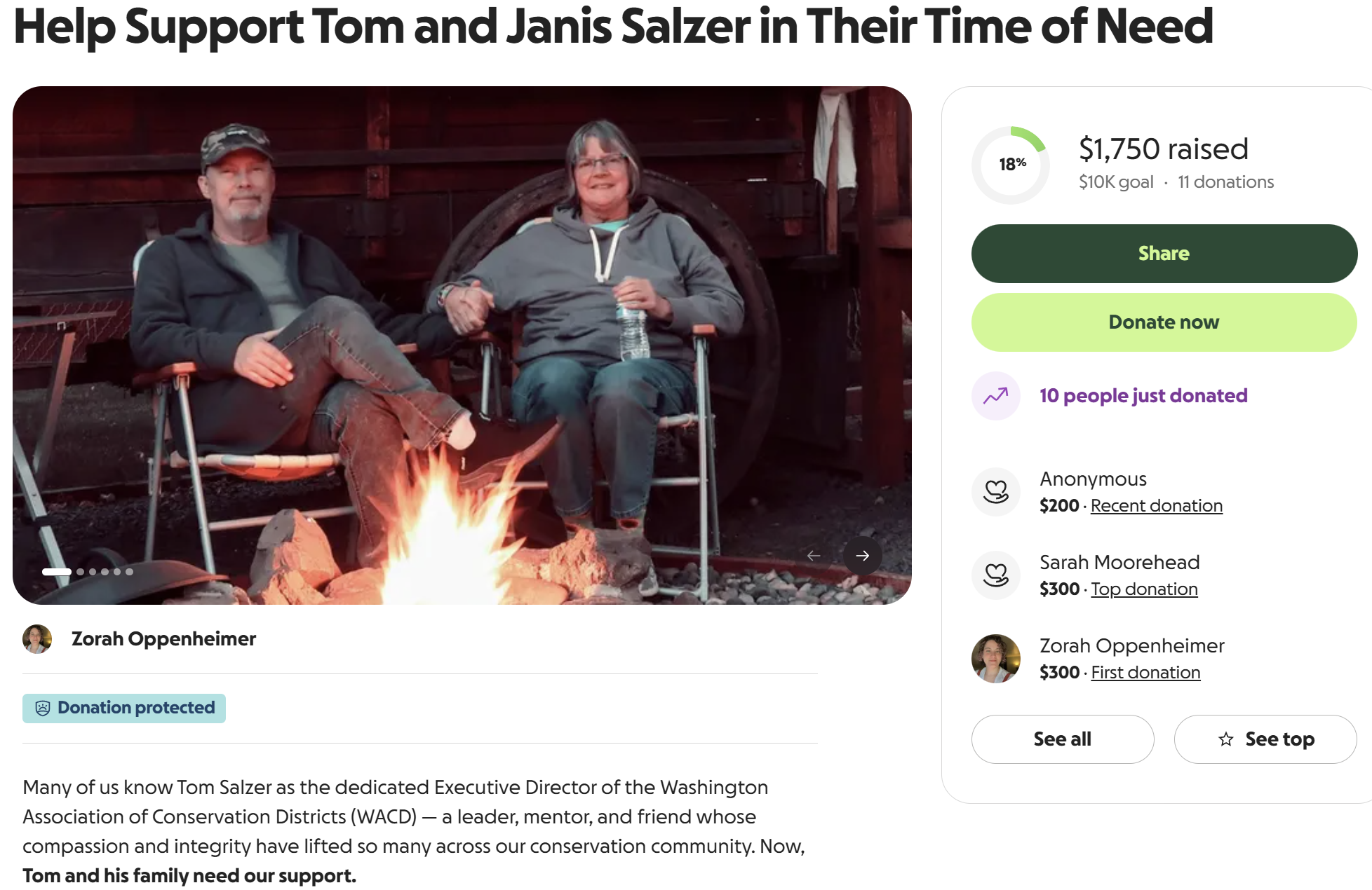 Screenshot of GoFundMe page