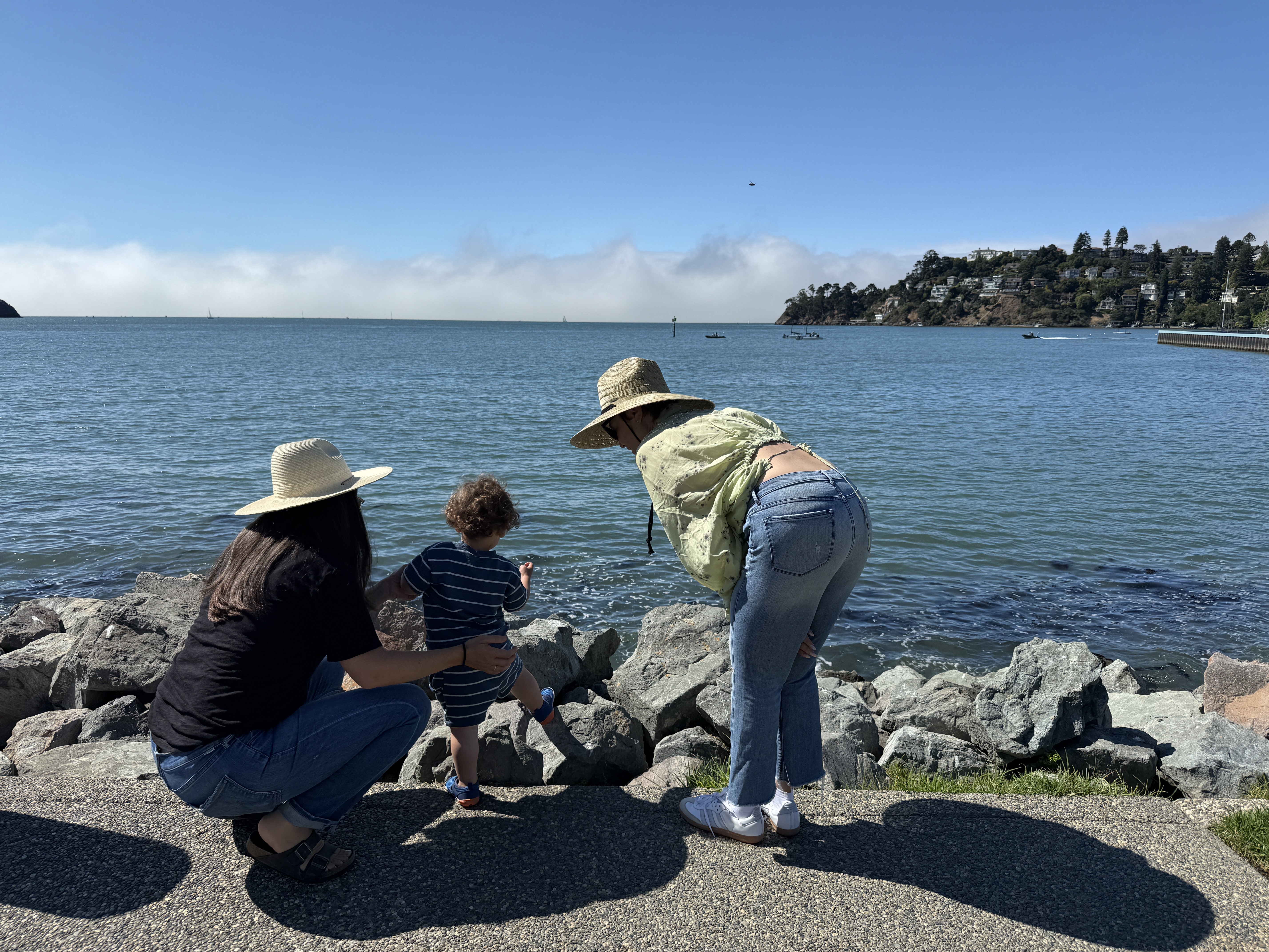 Image from Taking the week off + a newsletter cadence update