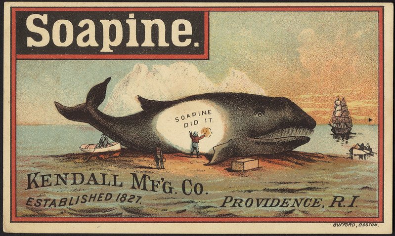 The Peculiar History of Commercial Whaling and the Iconoclasts Who Opposed It