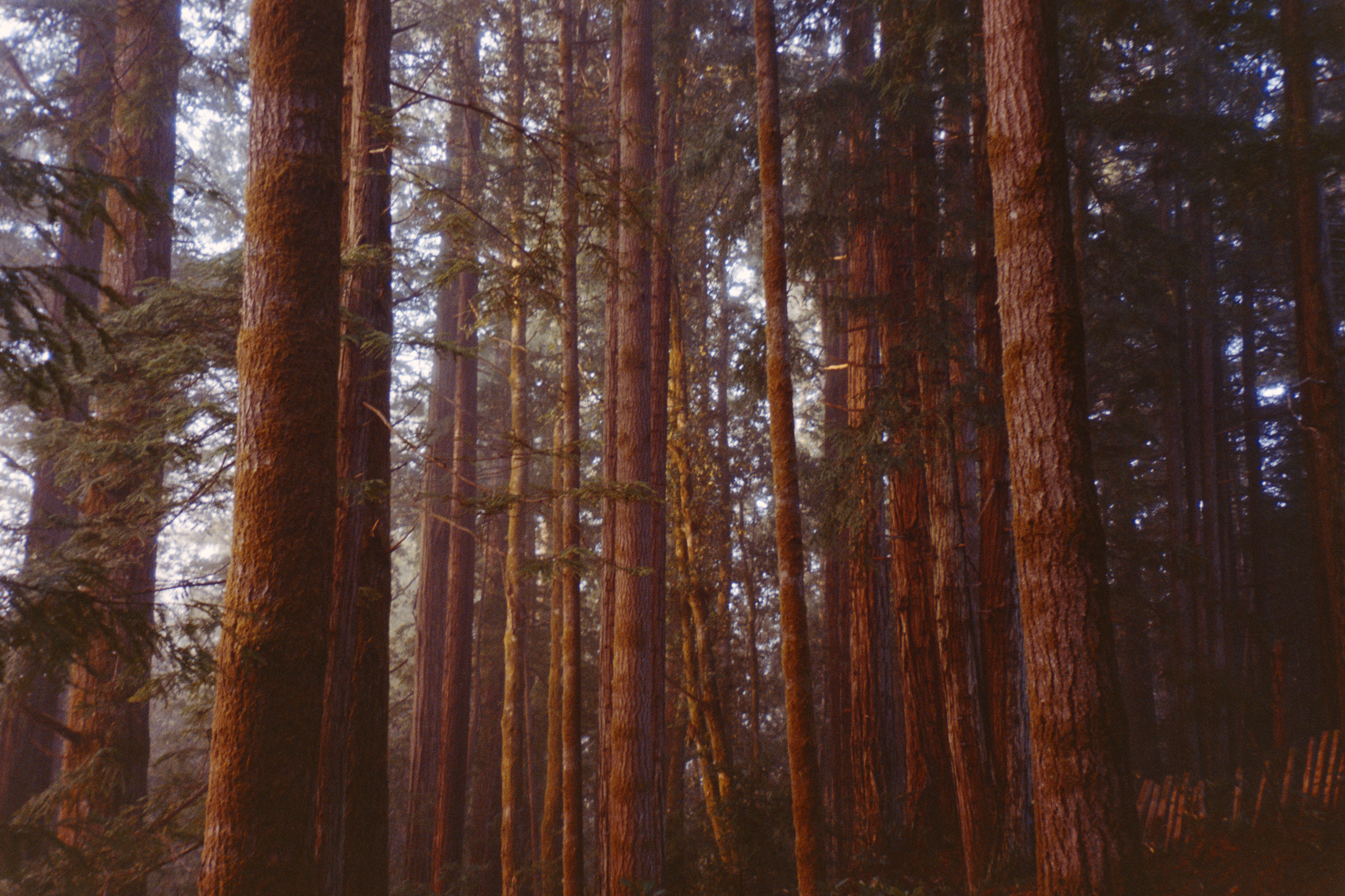 Widening - by Lisa Olivera - Human Stuff