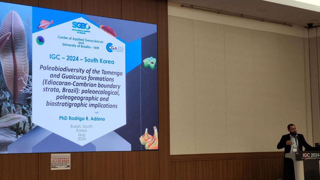 Novos fósseis dos invertebrados mais antigos da Terra são descobertos na região do Pantanal