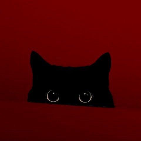 Substack profile picture for @sorcery
