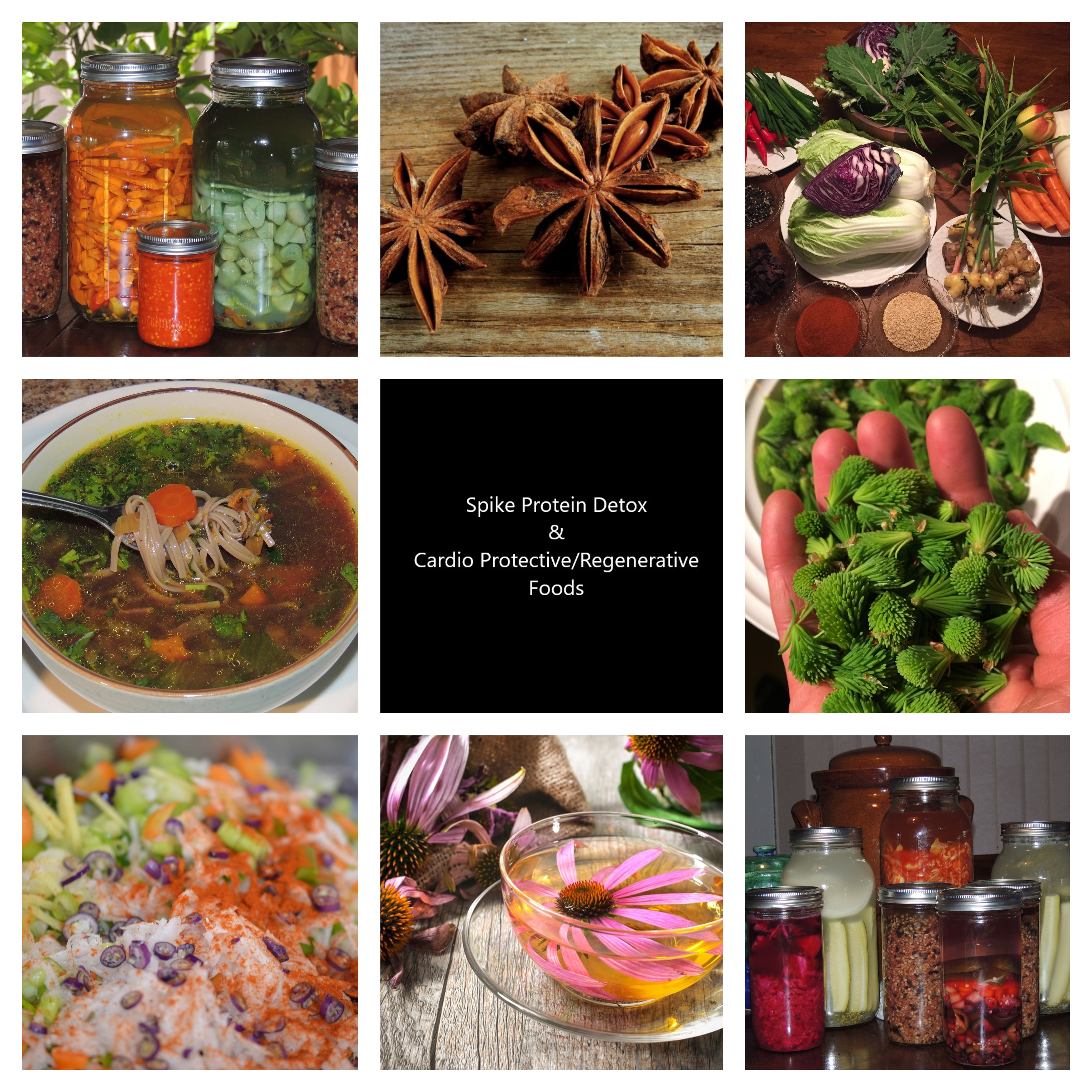 Spike Protein Detox Intel and foods/herbs with Cardio-Protective and perhaps Cardio-Regenerative Potential