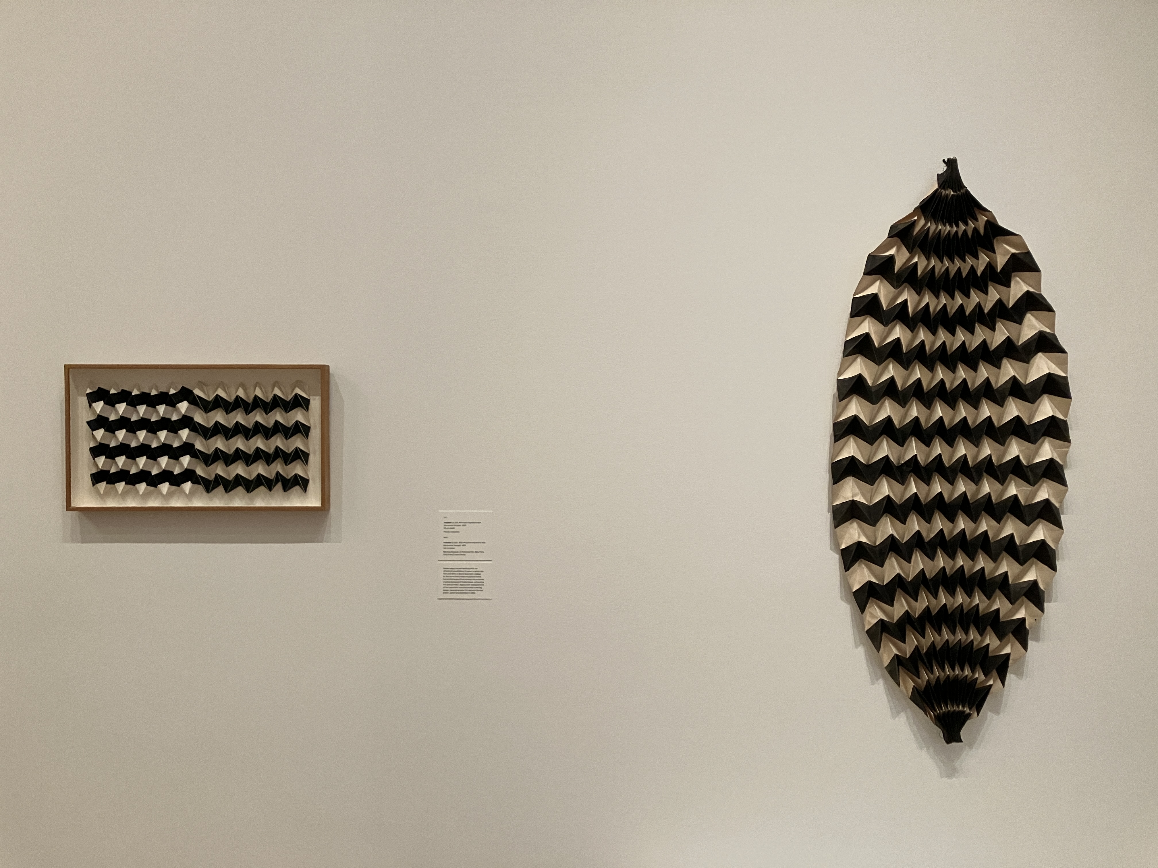 Artist Ruth Azola Ruth Asawa | Museum of Modern Art - by Pam W