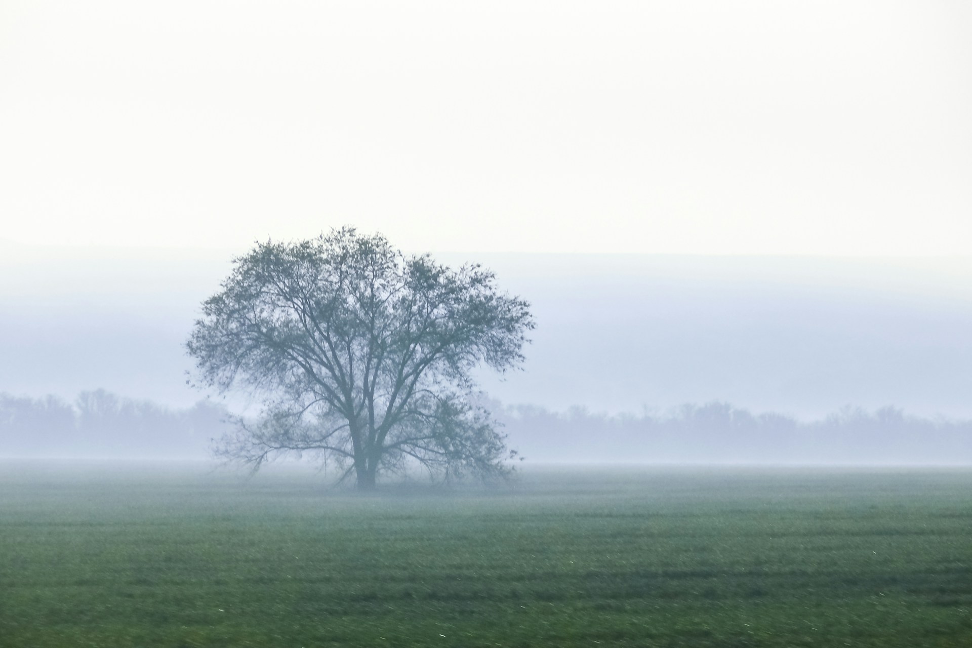 Jane Austen and the Manosphere - Theology of Home Substack