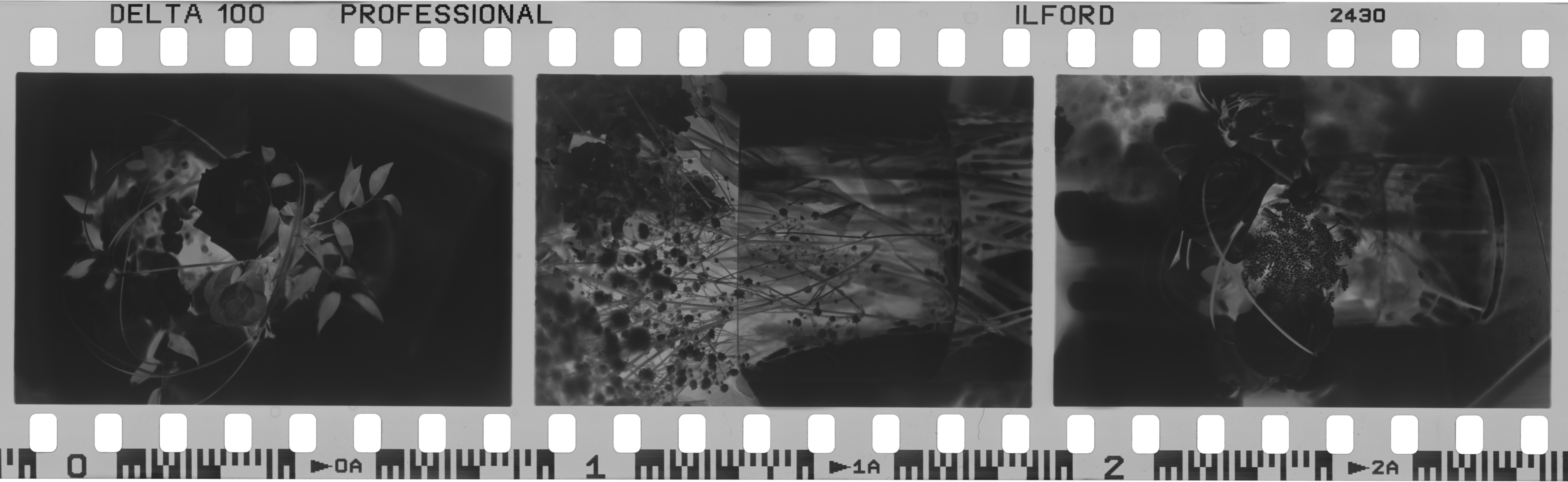 Evaluating negatives. - Andrew Sanderson