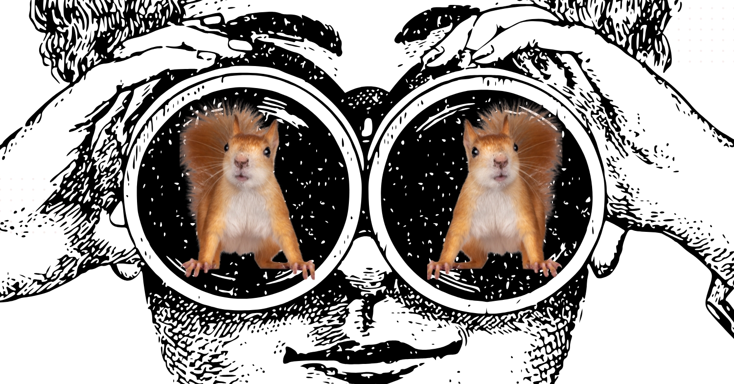 Let's talk about that squirrel - by Anna Kirtlan