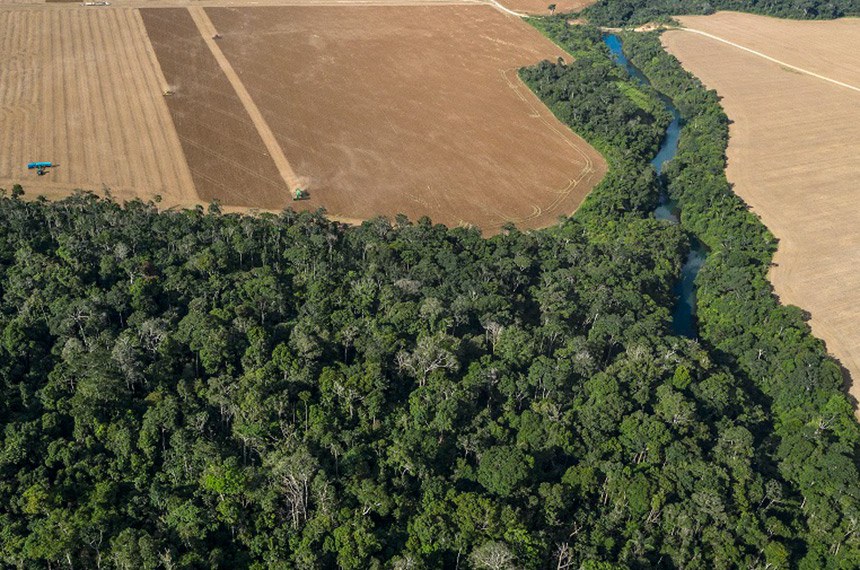 Licenciamento Ambiental: Semana decisiva no Senado define futuro de obras e sustentabilidade