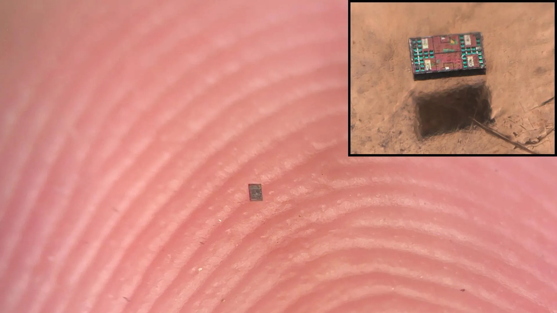 Scientists create robots smaller than a grain of salt that can think