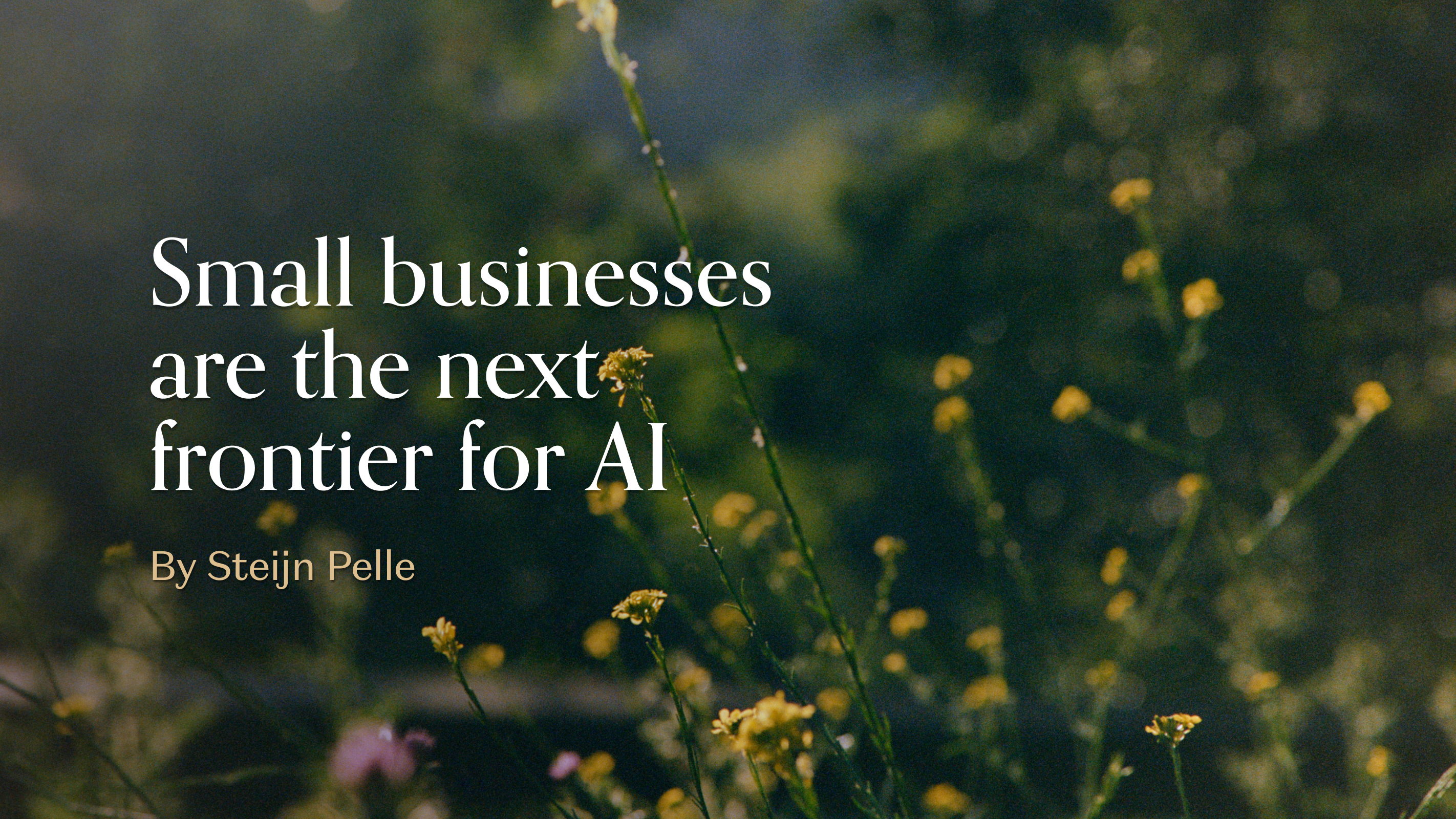 Small Businesses are the Next Frontier for AI