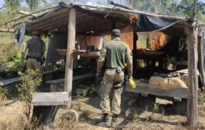 PF destrói 10 acampamentos de garimpeiros em áreas protegidas de Rondônia