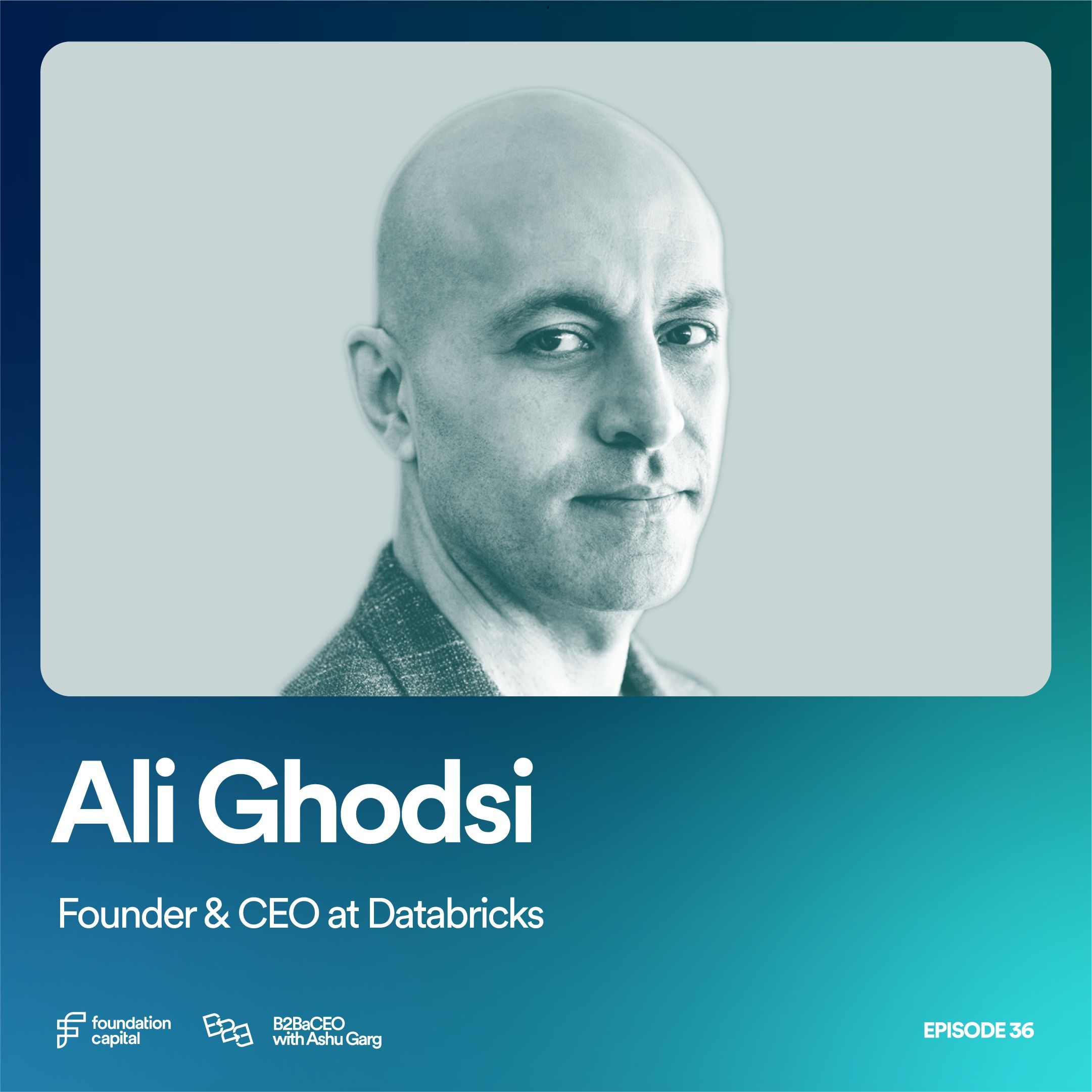 How to Build a Decacorn (Ali Ghodsi, Co-Founder & CEO of DataBricks)