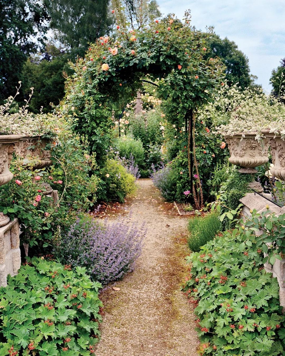 An Instagram  post added on Jan 23, 2024. The author is @__dreamspaces. May present: flower, royal academy of fine arts, plant, plant community, sky.