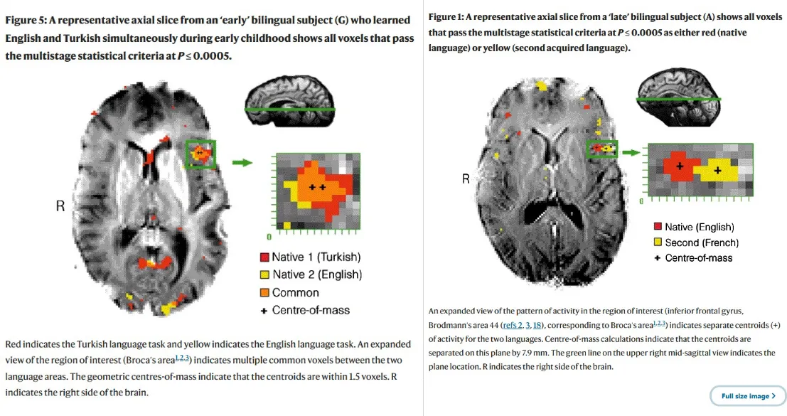 Does Language Shape Thought? From Philosophy to Neuroscience
