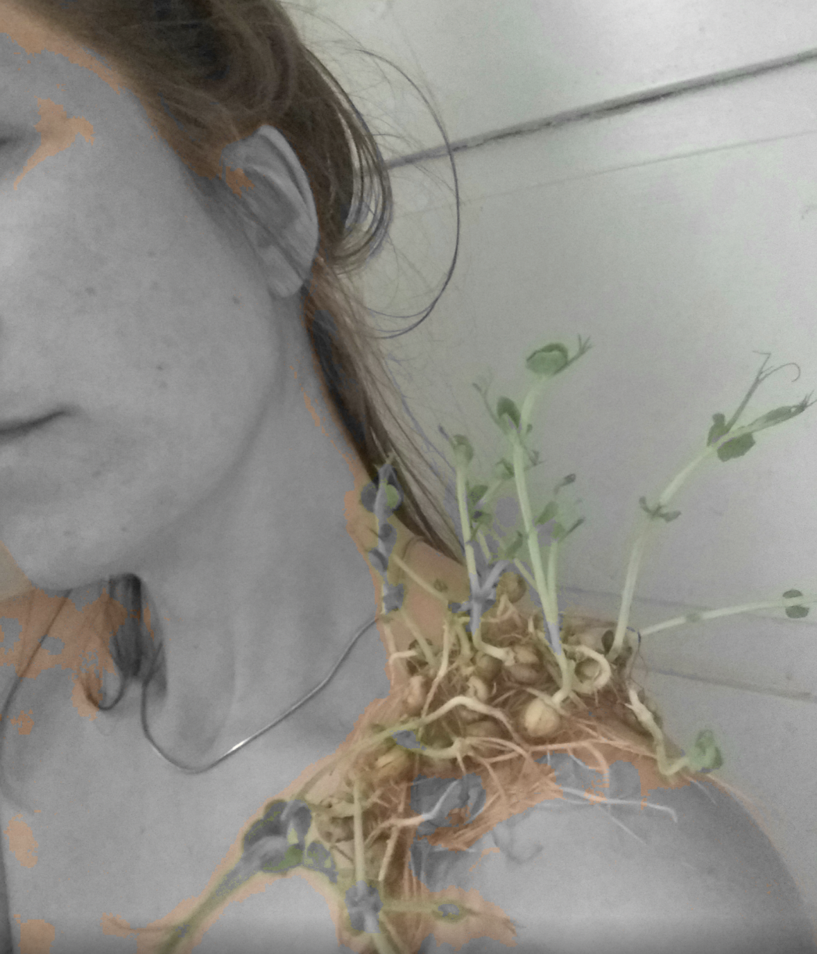 A retreat to embody a nonhuman turn