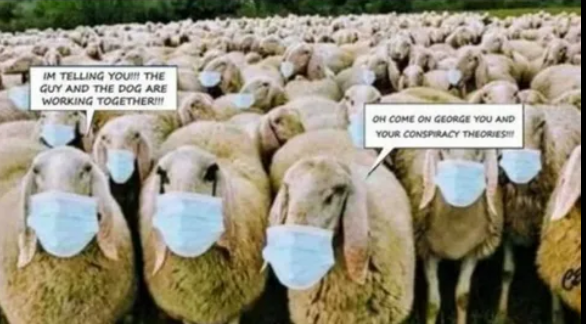 Chapter 3: Herding Us Into The Needle