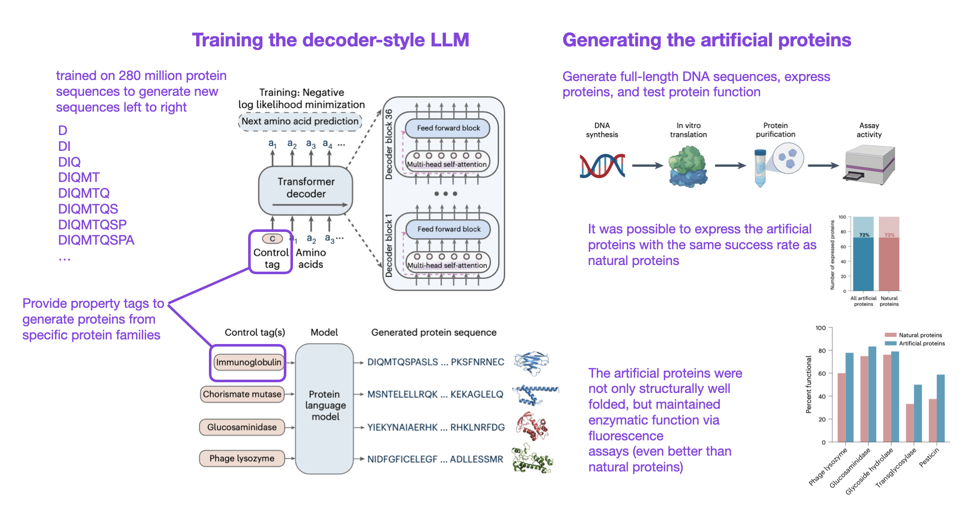 RevAIval of Ideas: From Next-Generation Convolutional Neural Networks ...