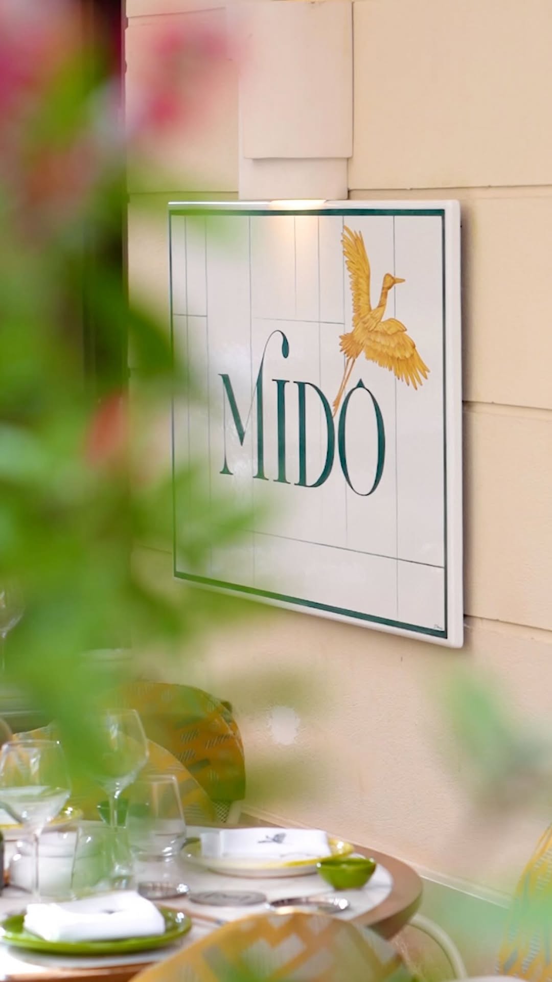 Midô, Cannes
