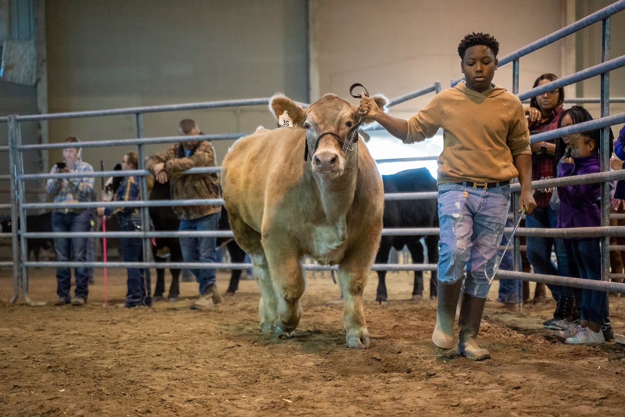 Sheep Show Stack SU Ag Center set to host a slate of events to celebrate its 80th Annual ...