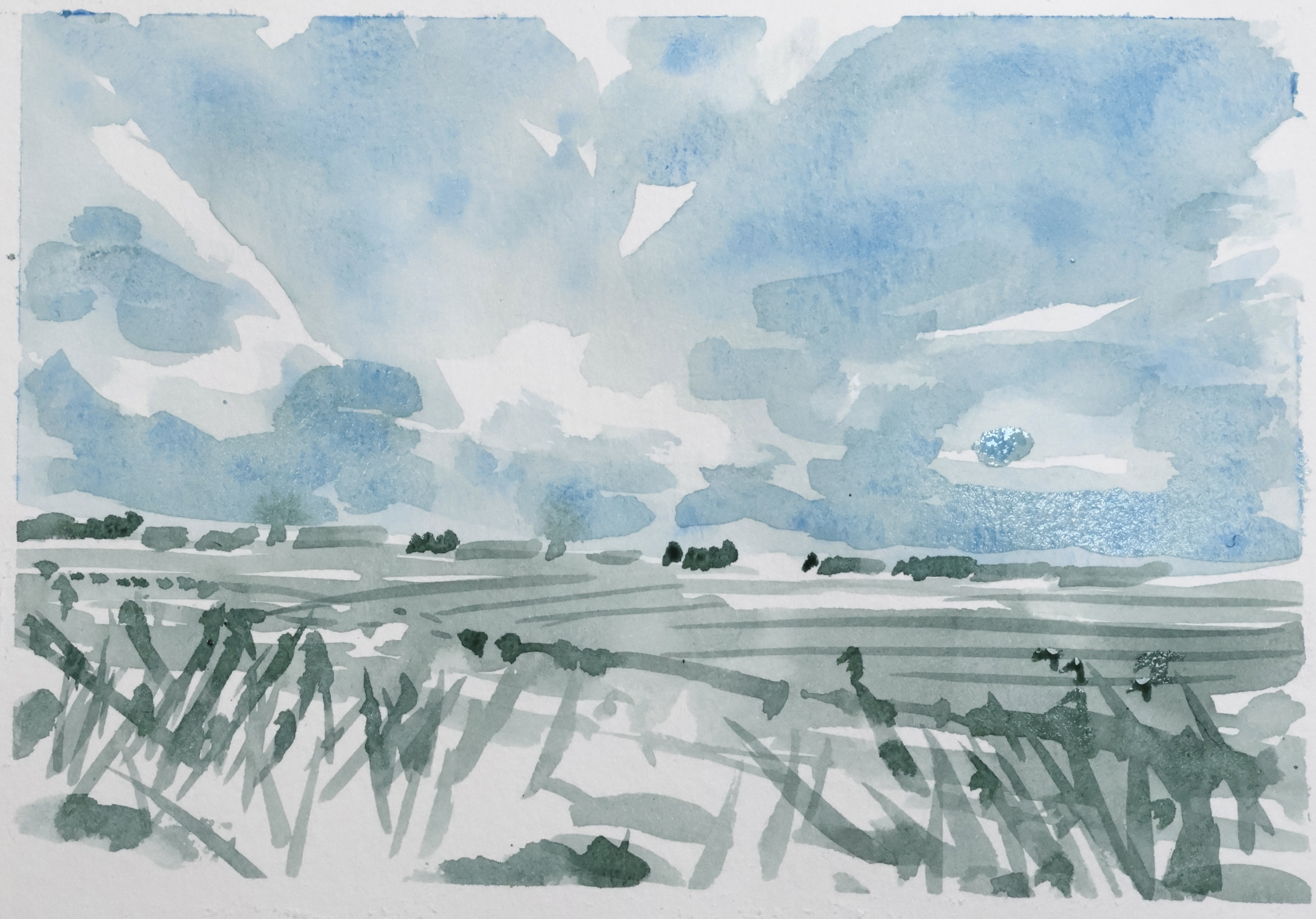 After Hockney: Sketching the Landscape