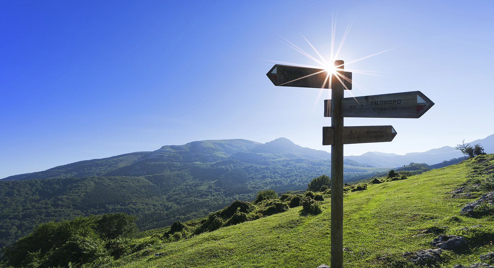 Signpost in the Mountain - iStock.com/Mimadeo