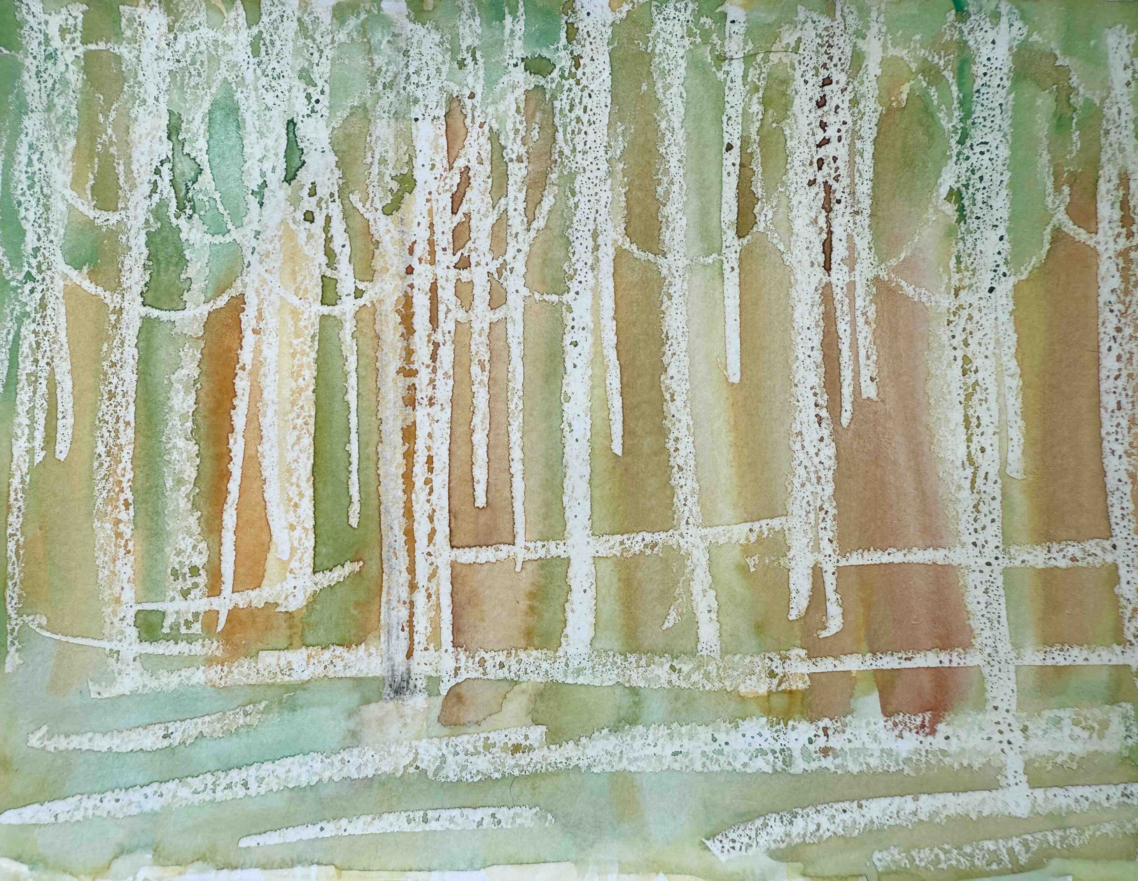 Seema Reflects Launch