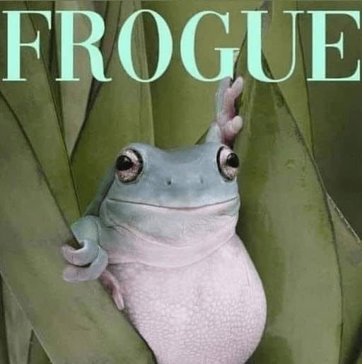 berlioz - open this wall - berlioz