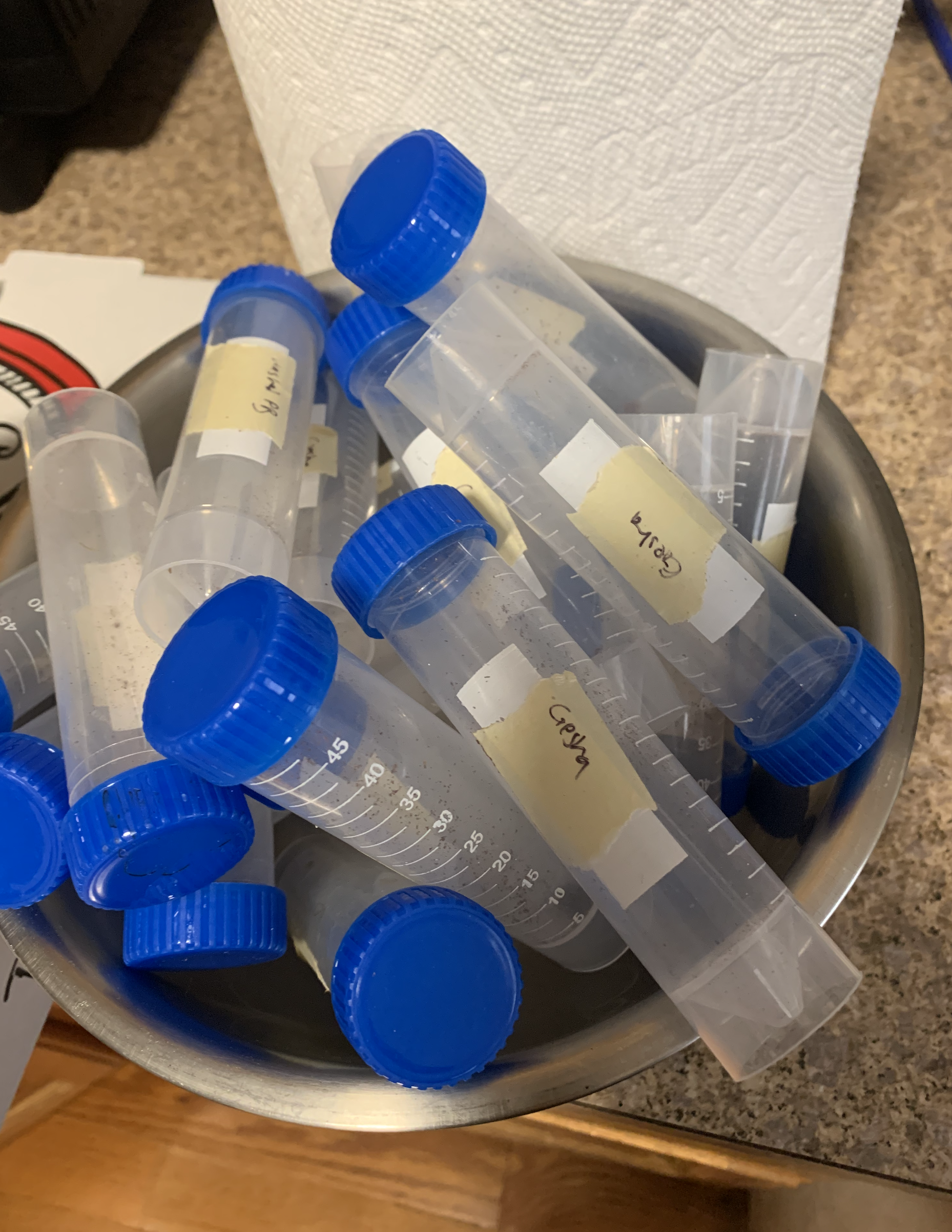 Pre-ground coffee in test tubes