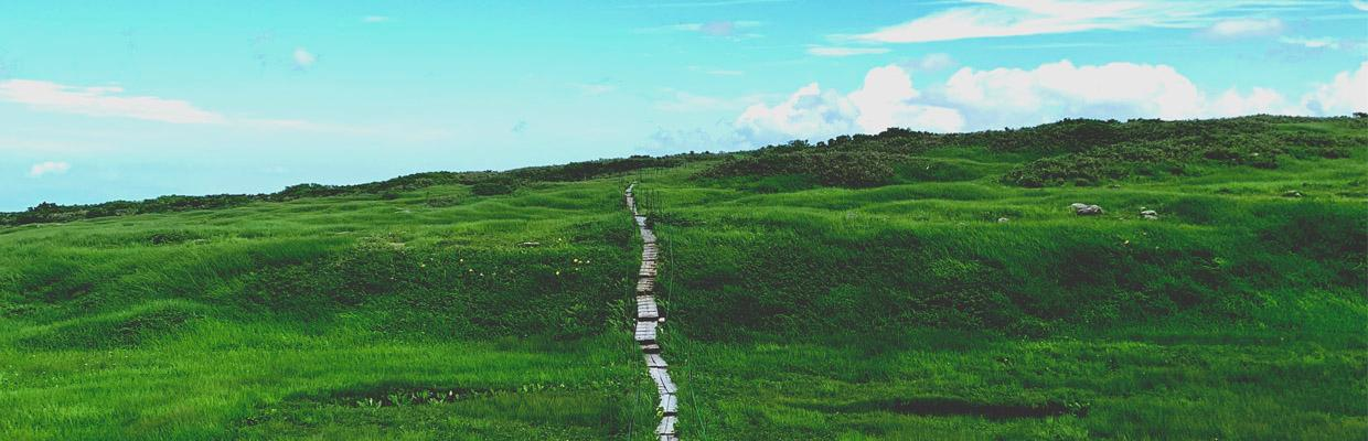 Substack banner for @jayp